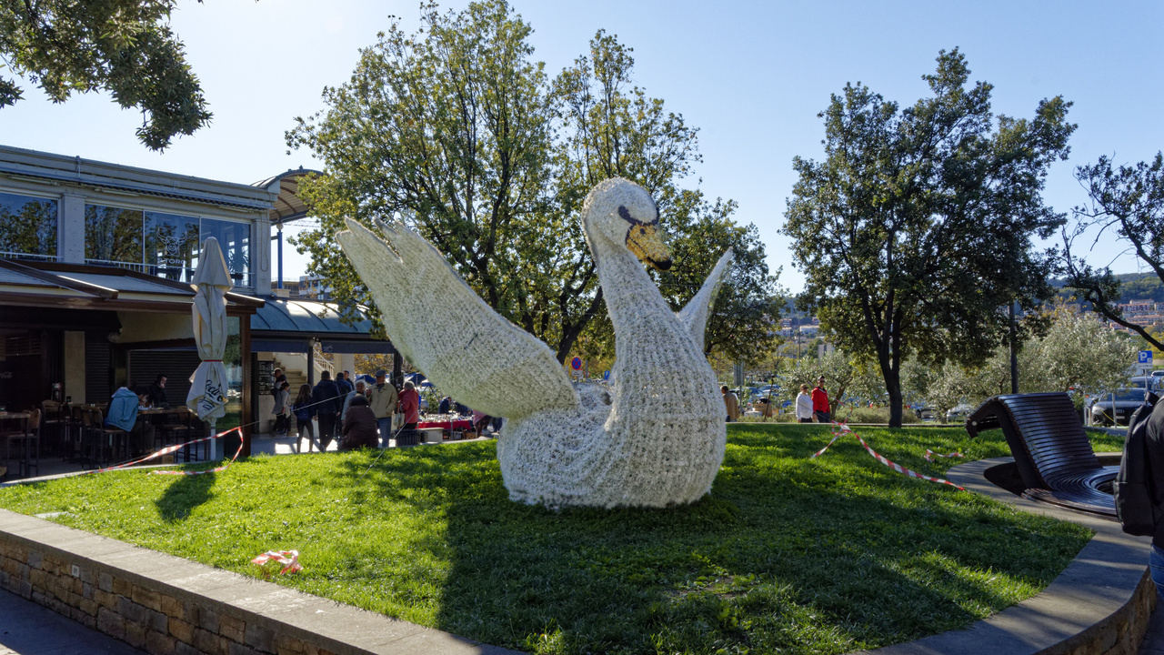 20221106 103940•Koper•Koper•Slovenia